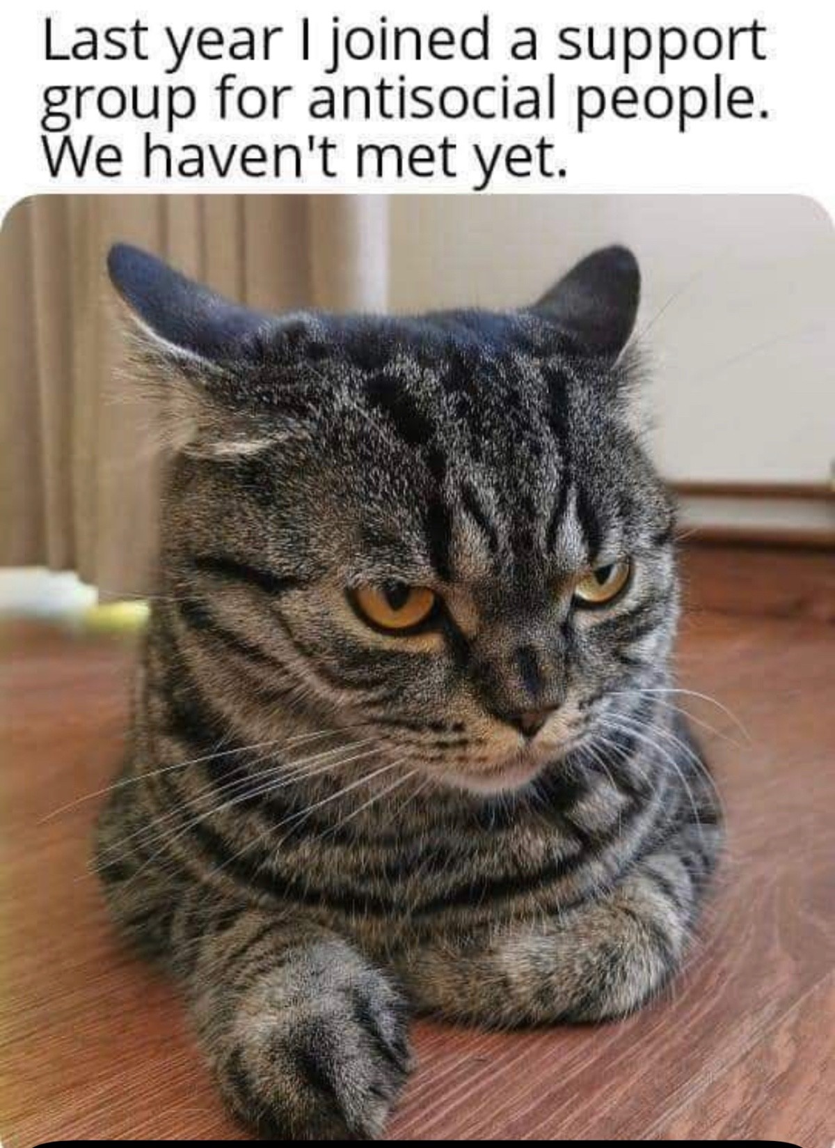 hmmm-lol