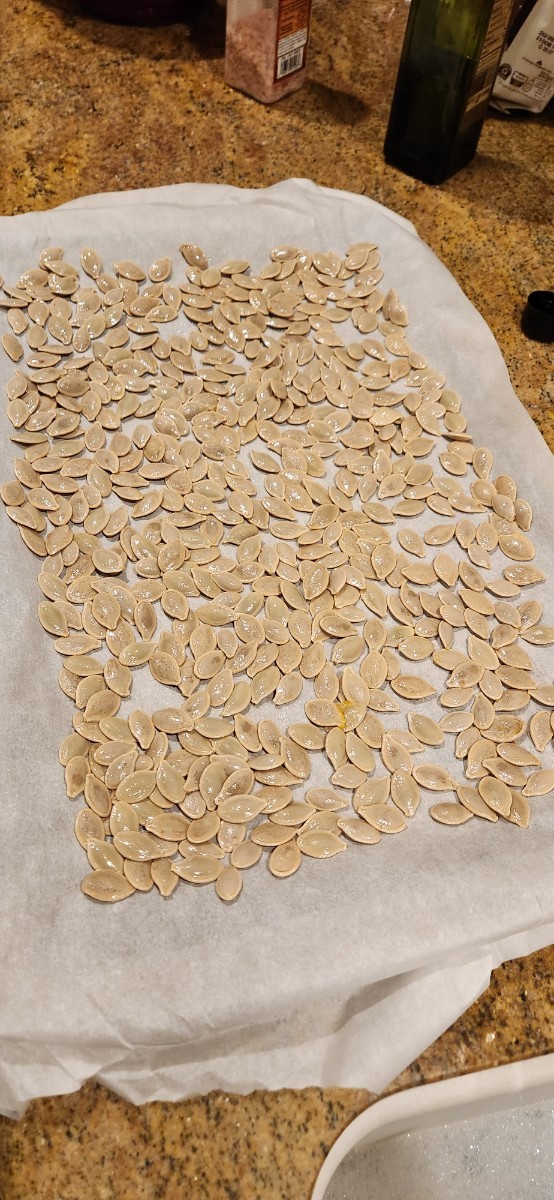 Pumpkin seeds!