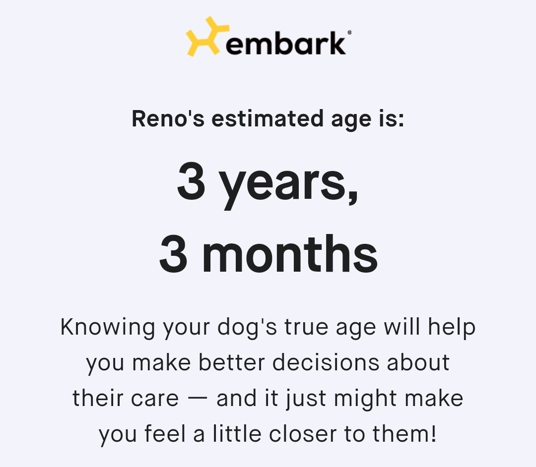 DNA age test