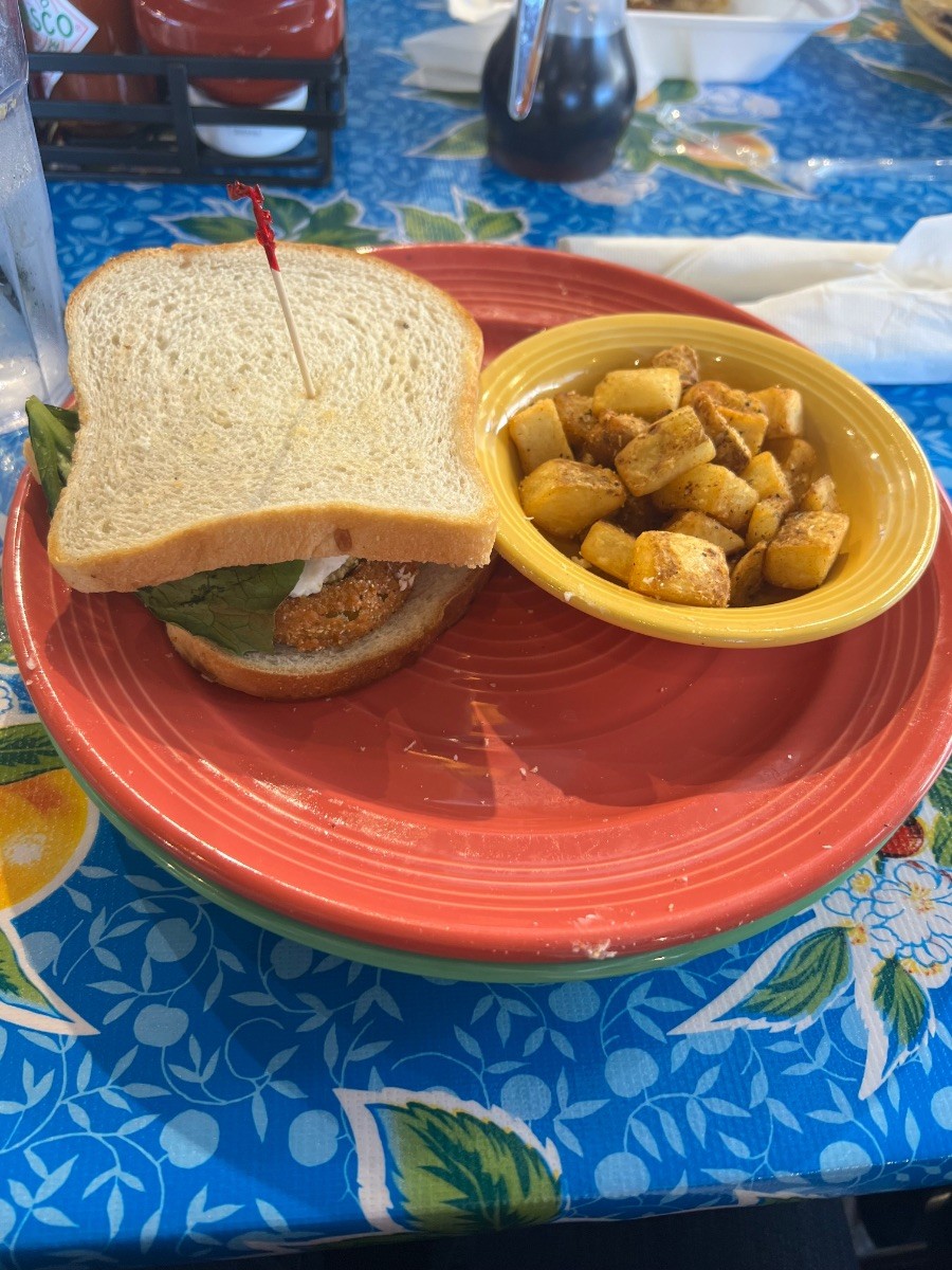 Flying Biscuit Day 2