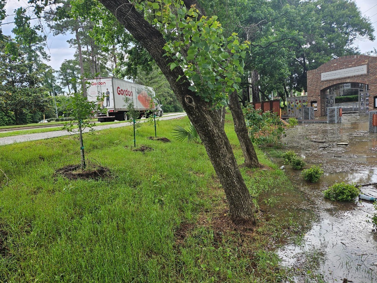 Kings Harbor at 330 today