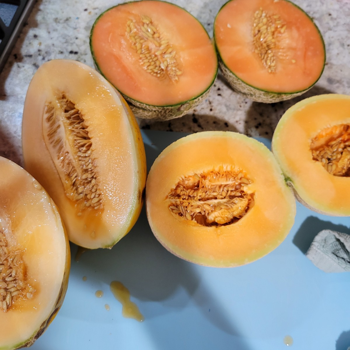 Taste test on the melons. I mentioned before I do my grocery onl