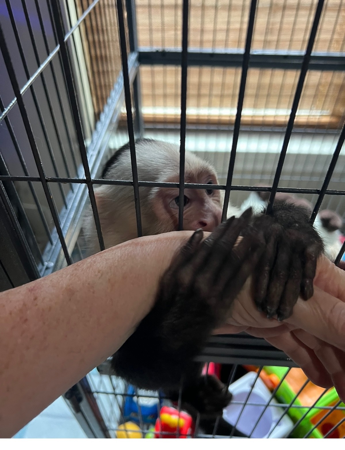 had a visit with monkey boy today