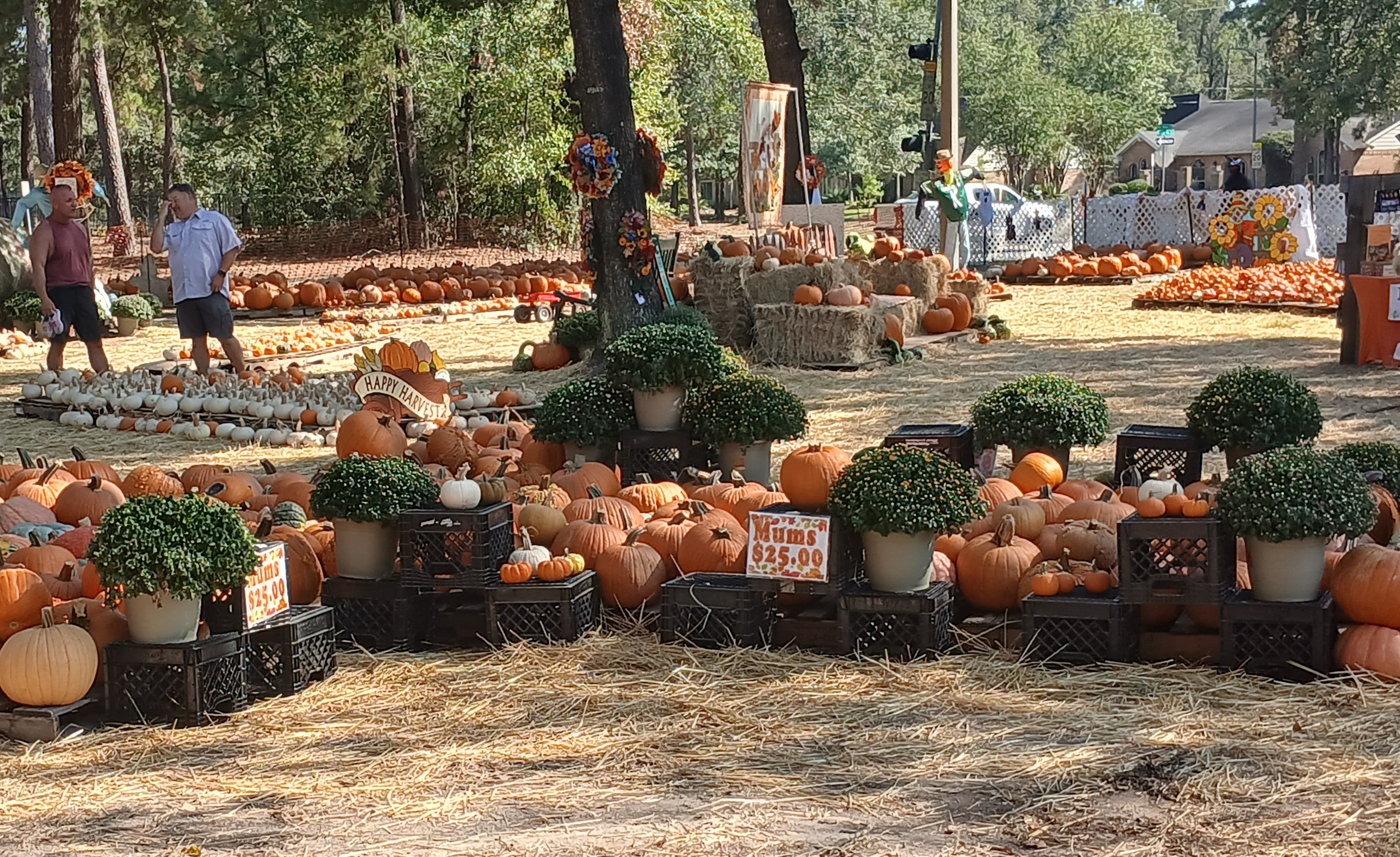 Pumpkin Patch at Good Shepherd Episcopal Church!
