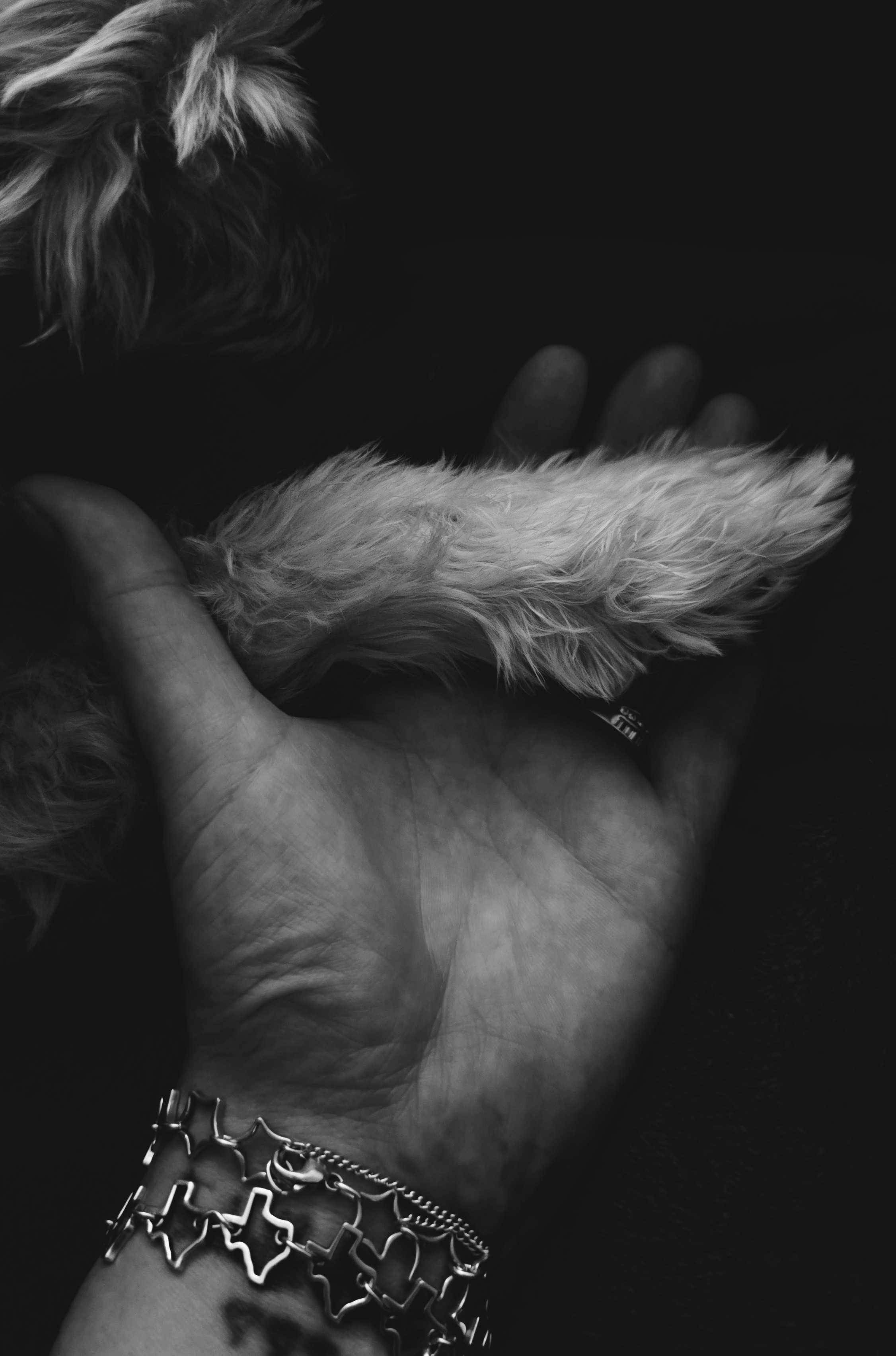 Loading Image...