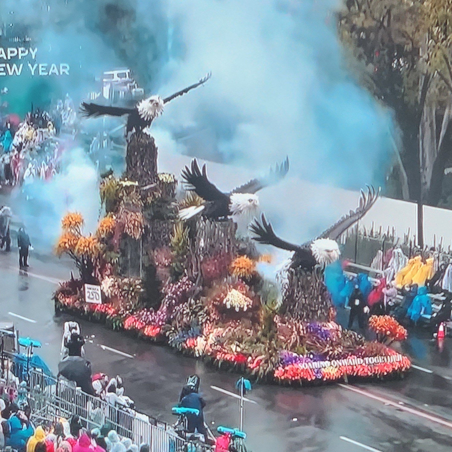 Stone Roses Rain Parade Rose Parade is a little wet this year.