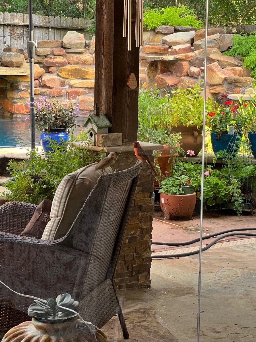 Should I lock the cat up?