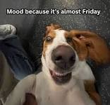 Loading Image...